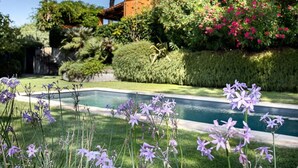 A pool surrounded by purple flowers and lush greenery, with a house in the background. - Luxury Villa Nearby South Rome (Falcognana Di Sopra)