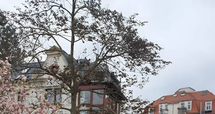 Petite mais charmante chambre double avec terrasse commune, jardin commun et Wi-Fi