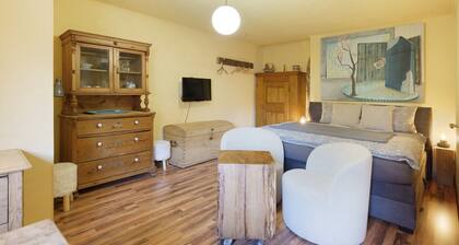 Guest House 'Romantikzimmer in Striesen' with Shared Terrace, Shared Garden and Wi-Fi