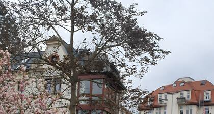 Casa de huéspedes 'Romantikzimmer in Striesen' con terraza compartida, jardín compartido y Wi-Fi