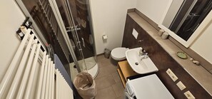 Shower, hair dryer, towels - Apartment 'Nahe Blauen Wunder' with Shared Terrace, Shared Garden and Wi-Fi (Dresden)