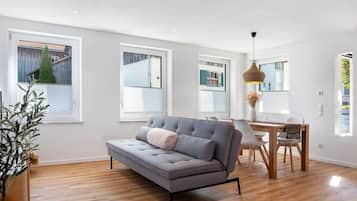 Fernseher, DVD-Player