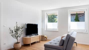 Fernseher, DVD-Player