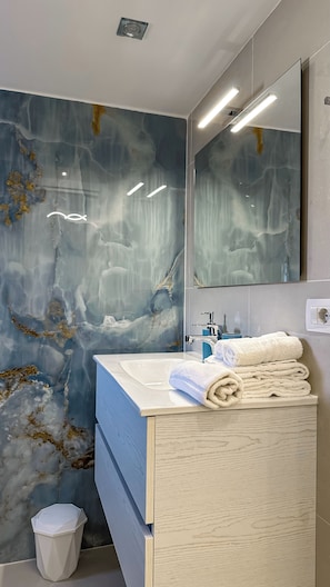 Shower, hair dryer, bidet, towels