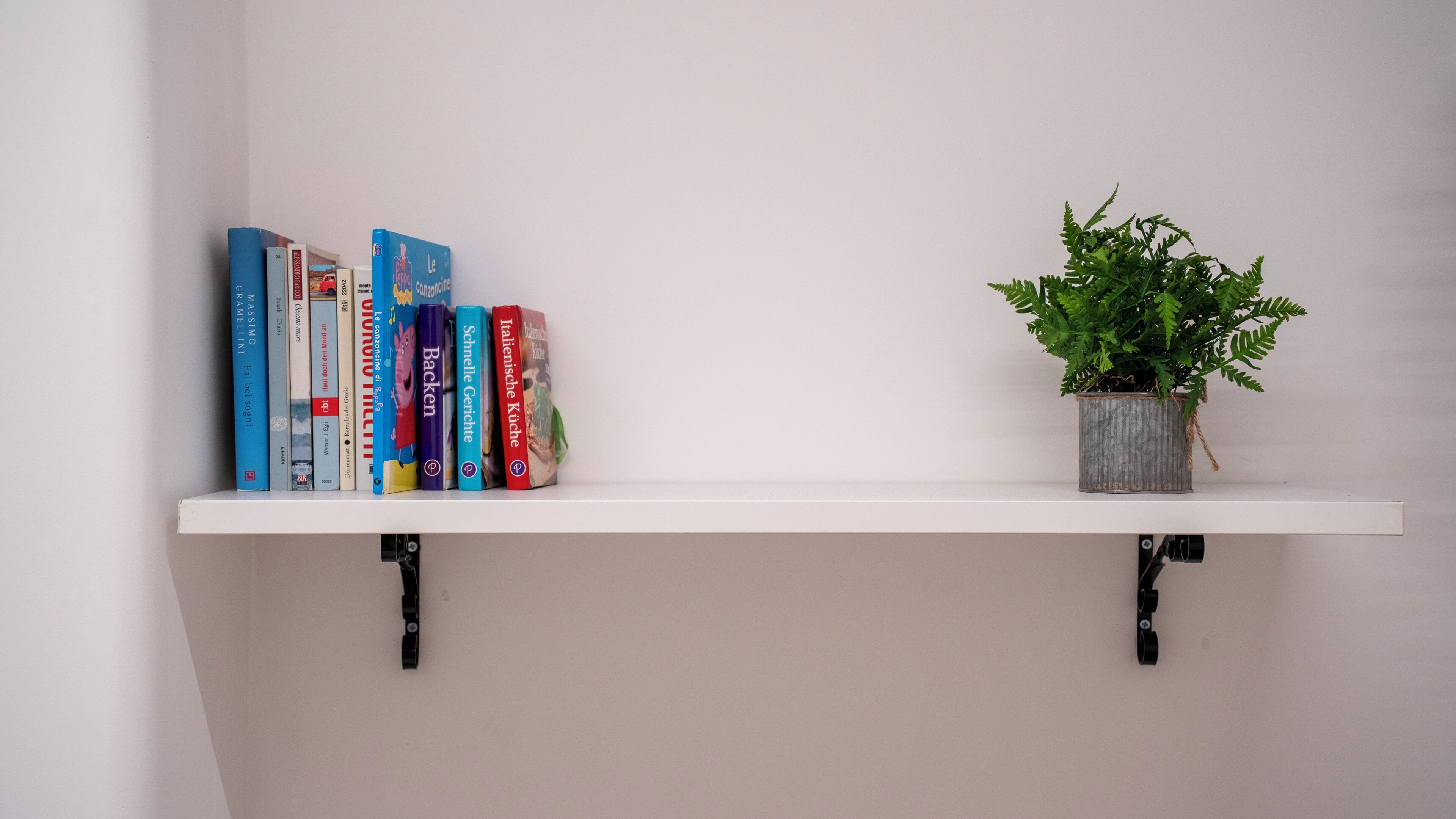 Une étagère blanche avec une plante en pot et une rangée de livres.