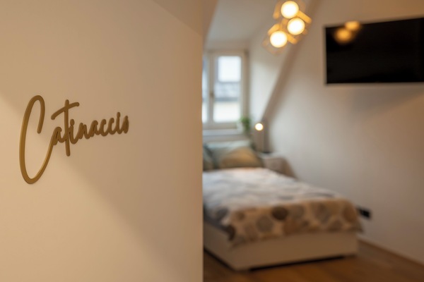 Deluxe Studio | Iron/ironing board, cribs/infant beds, free WiFi, bed sheets