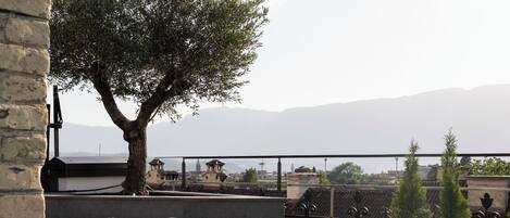 A rooftop terrace with outdoor furniture, a tree, and a view of distant mountains.