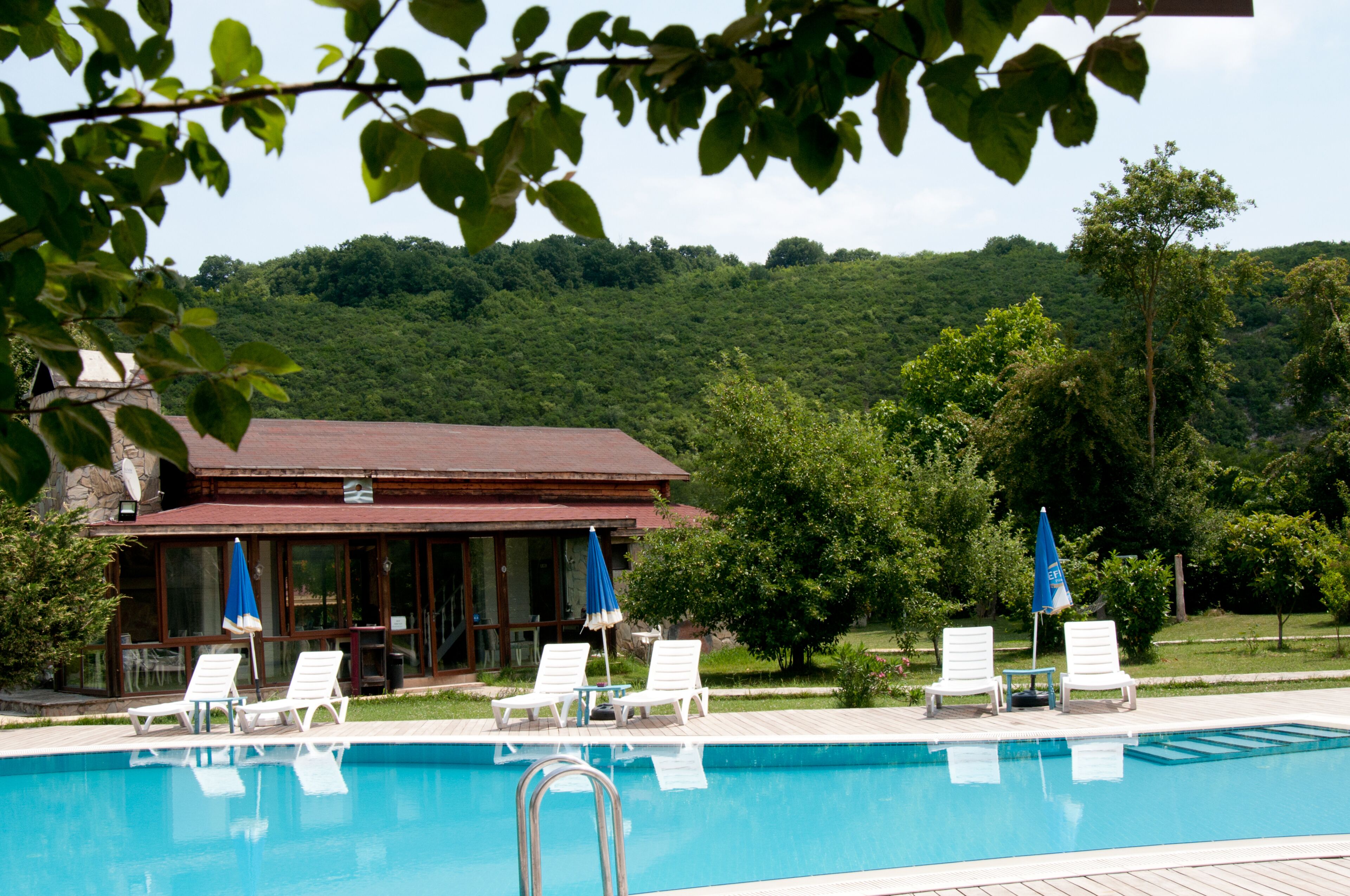 A pool area with lounge chairs and umbrellas, a wooden deck, and a view of a forested hillside.