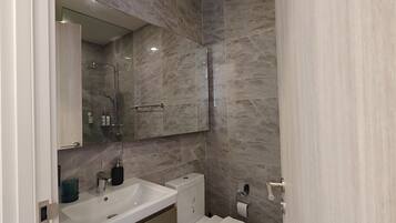 Shower, hair dryer, bidet, towels