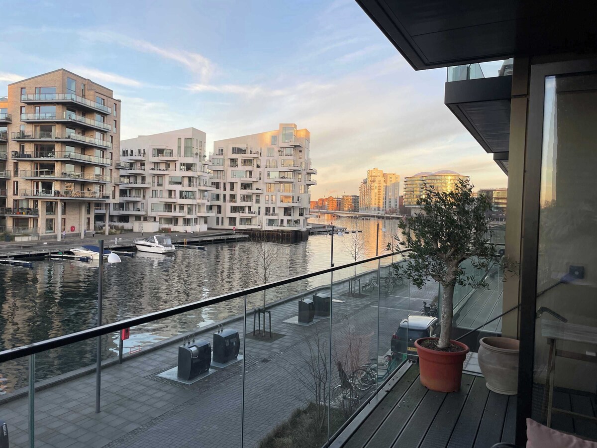 Image de profil de l’hôte