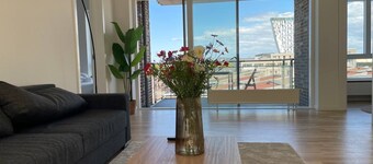 Sky High Amager Views