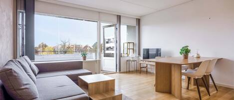 Fernseher, Arbeitsbereiche