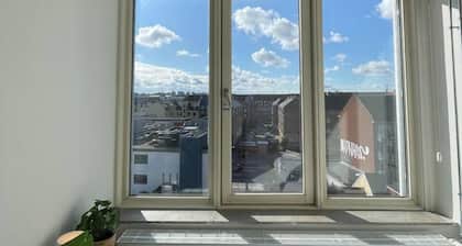 Norrebro big apt Summ