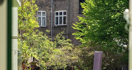 Cph highlight Summary