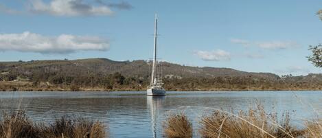 Vista desde la propiedad