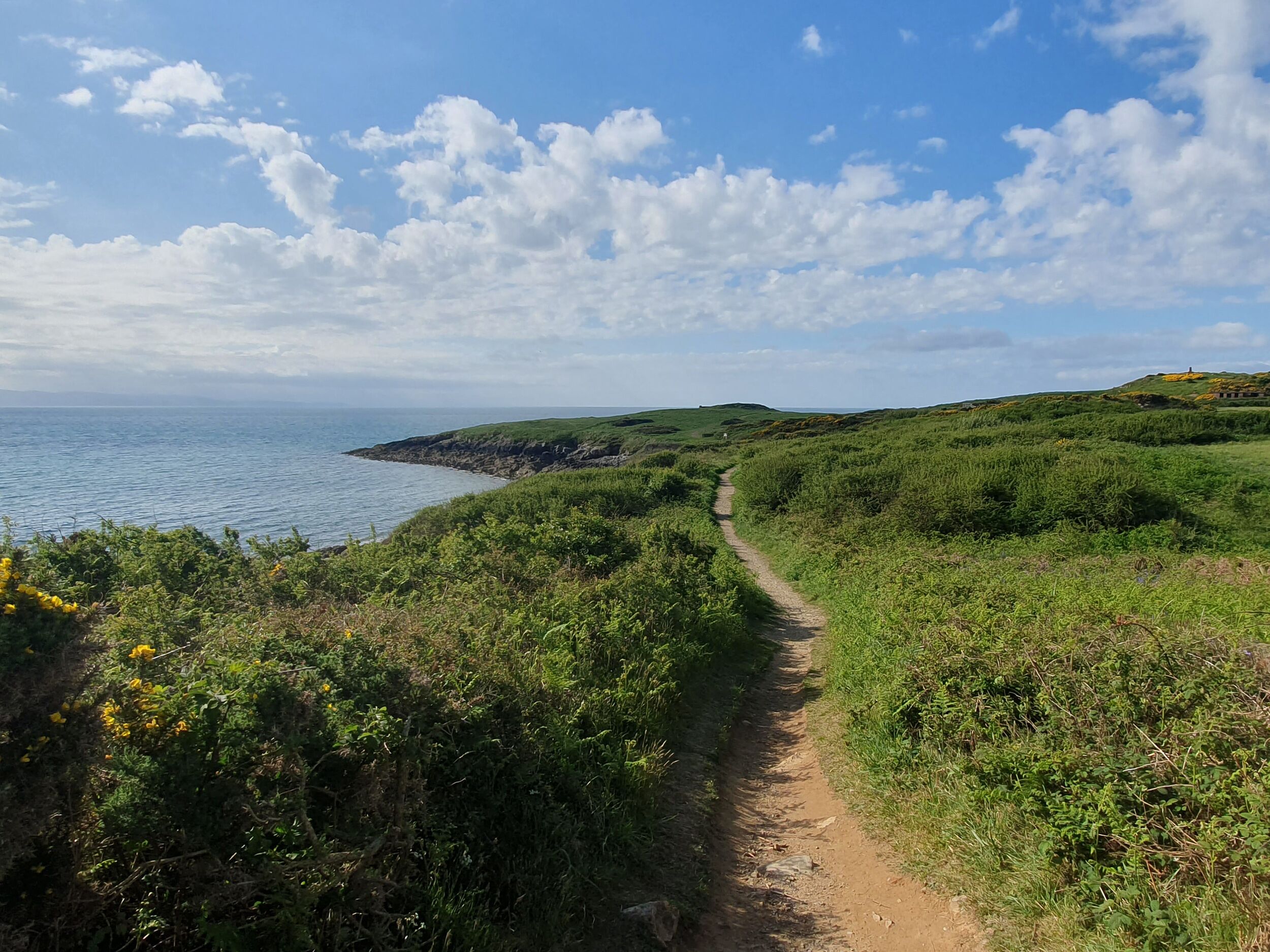A coastal path with grassy banks and a clear view of the sea.