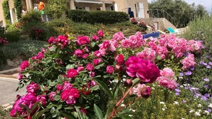 A building with a balcony, surrounded by lush gardens with pink and purple flowers. - Luxury Villa – Panoramic Views of Mountains, Wi-Fi, and Air Conditioning (Volx)