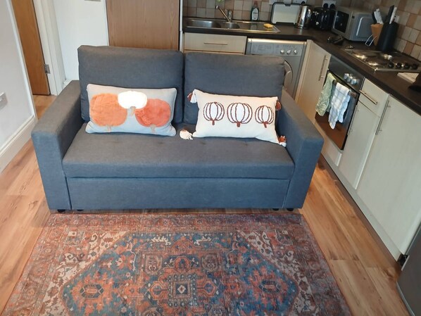 アパートメント 1 ベッドルーム | リビングルーム | 書庫