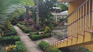 Un sendero en un jardín con diversas plantas y una escalera.
