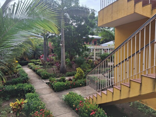 A garden pathway with various plants and a staircase.