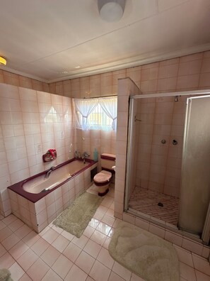 Haartrockner, Handtücher, Seife, Toilettenpapier