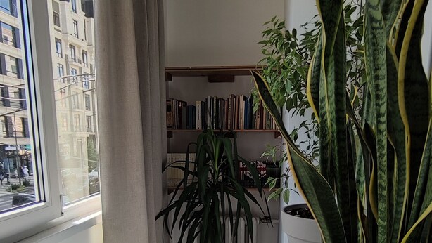 Un pasillo estrecho con una ventana a la izquierda, una planta en maceta a la derecha y una estantería al fondo.