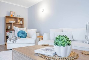 Fernseher, Kamin