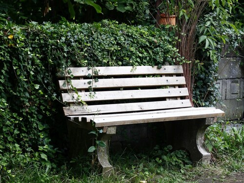 Apartment 'Ferienwohnung Lok Alfred, 38qm' mit gemeinsamem Garten