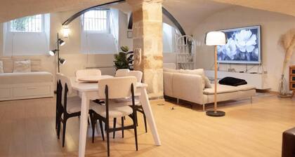 LâhĂ©bergement Charme rare sous les voĂ»tes se trouve Ă Royat