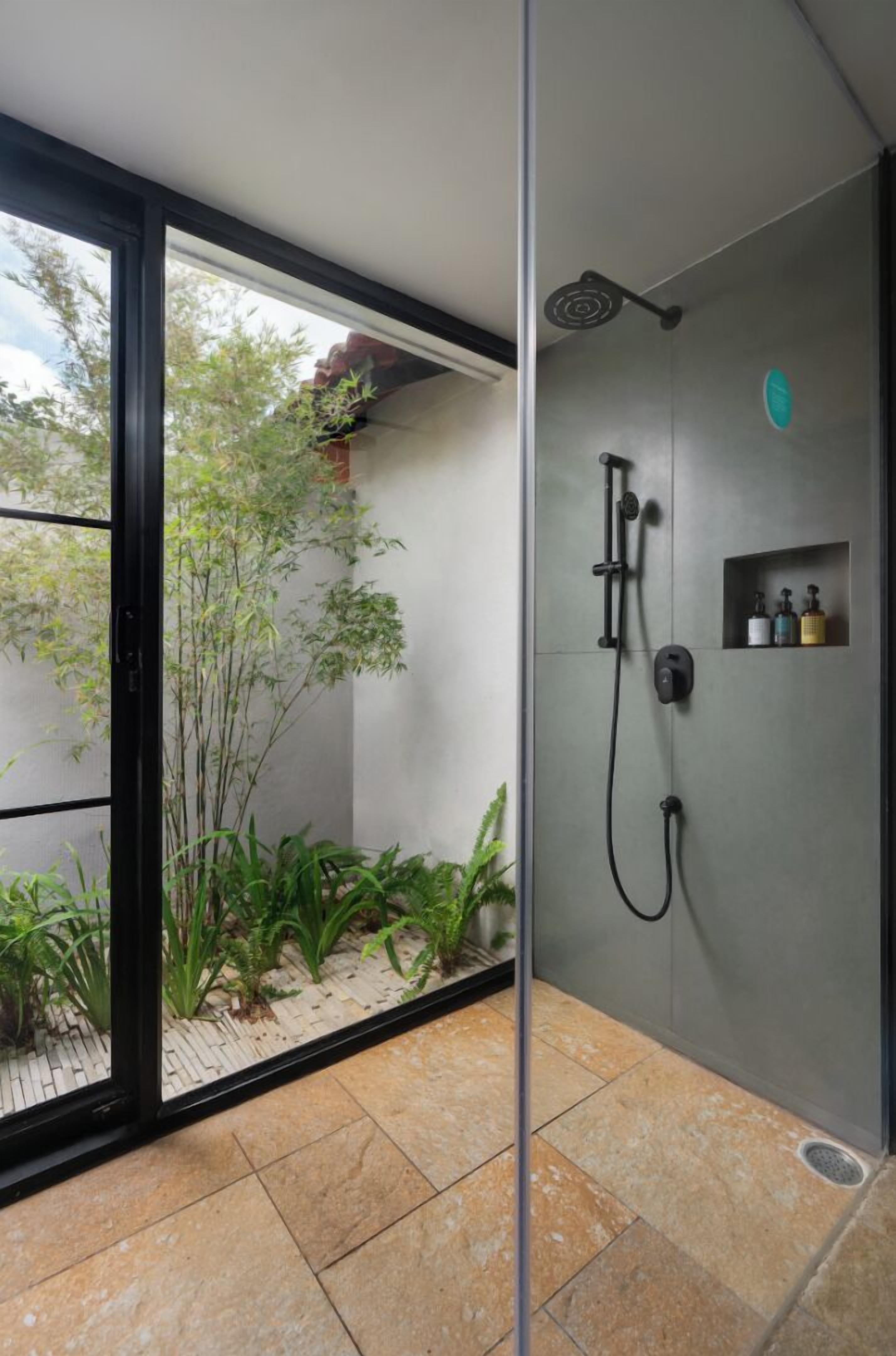 A modern shower area with a glass door, a bamboo plant, and a built-in shelf with toiletries.