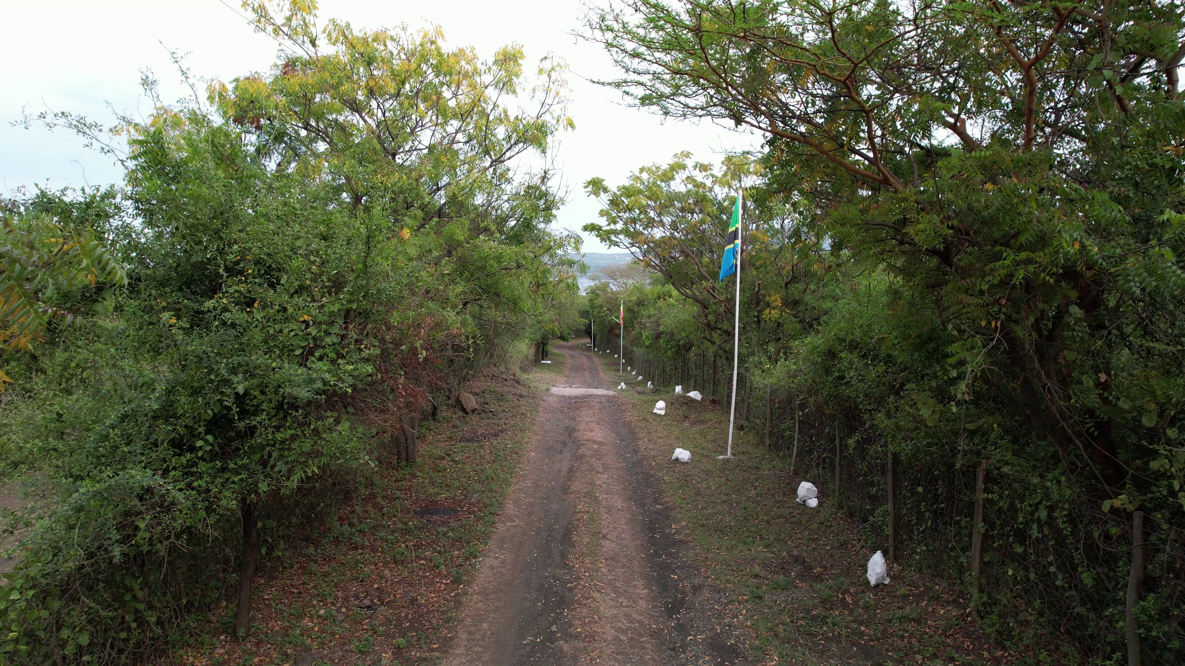 A dirt road flanked by dense foliage and a flagpole with a flag.