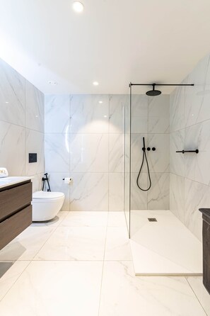 Shower, hair dryer, bidet, towels