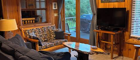 Smart TV, fireplace, books