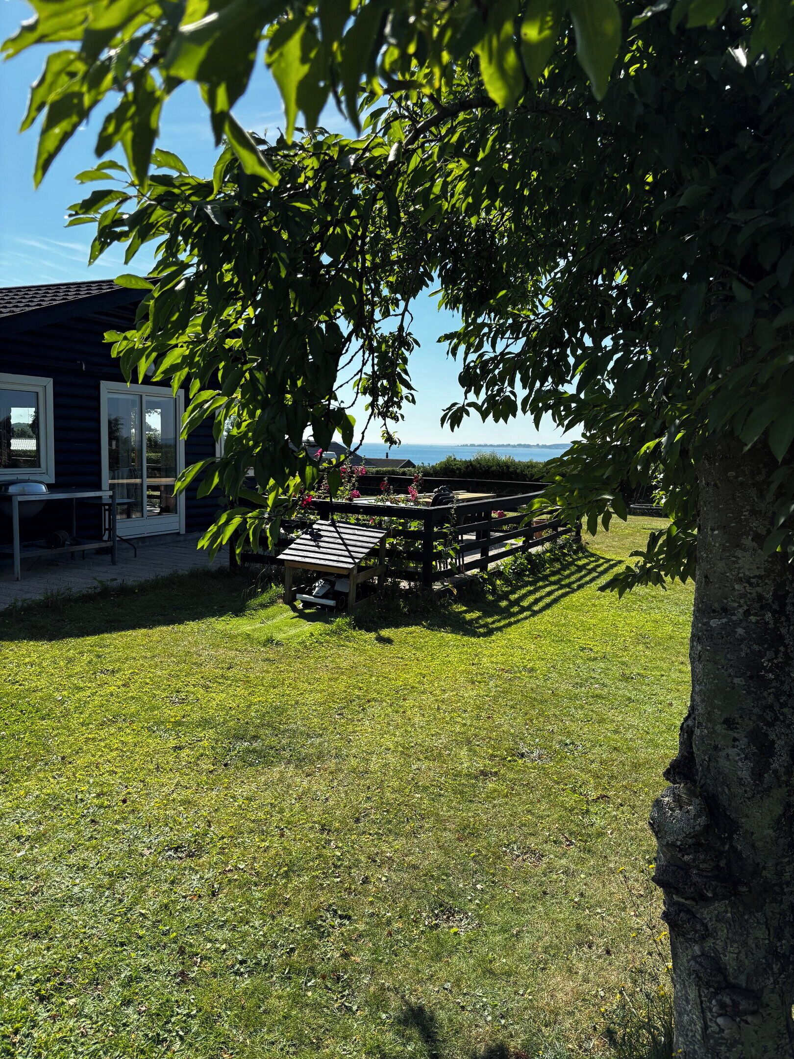 En græsbelagt udendørs arealer med en træterrasse og en bygning i baggrunden.