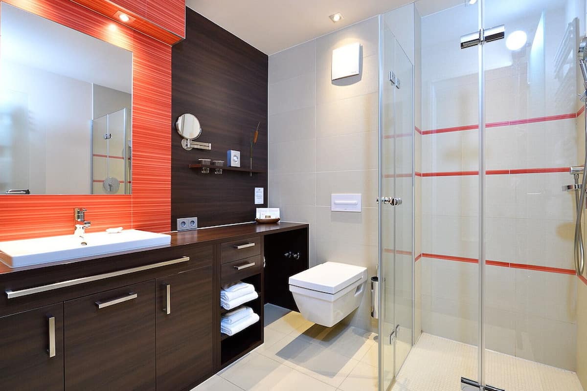 Shower, soap, toilet paper