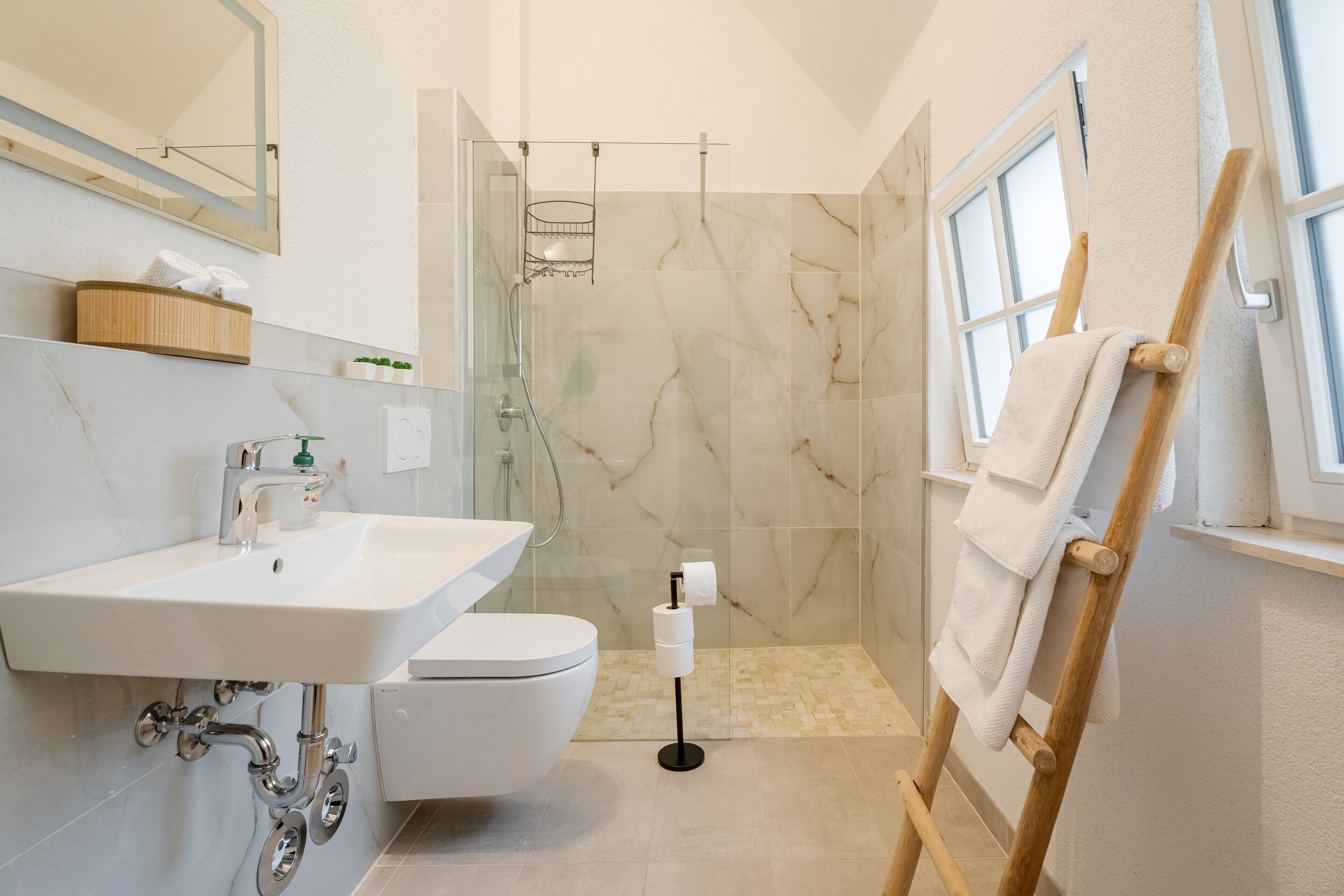 Shower, hair dryer, towels