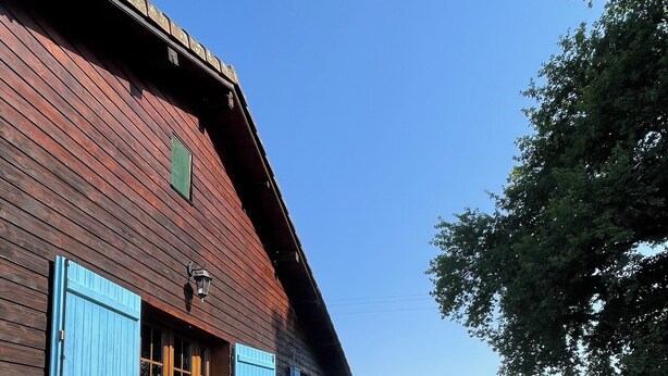 A wooden house with blue shutters, a front porch, and a small garden area. - Gîte in the heart of the Gers - 2 hectares of tranquility 7 minutes from the Circuit de Nogaro (Magnan)
