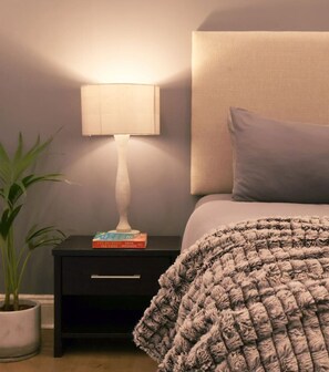 1 chambre, fer et planche à repasser