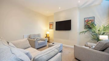 Fernseher, Arbeitsbereiche