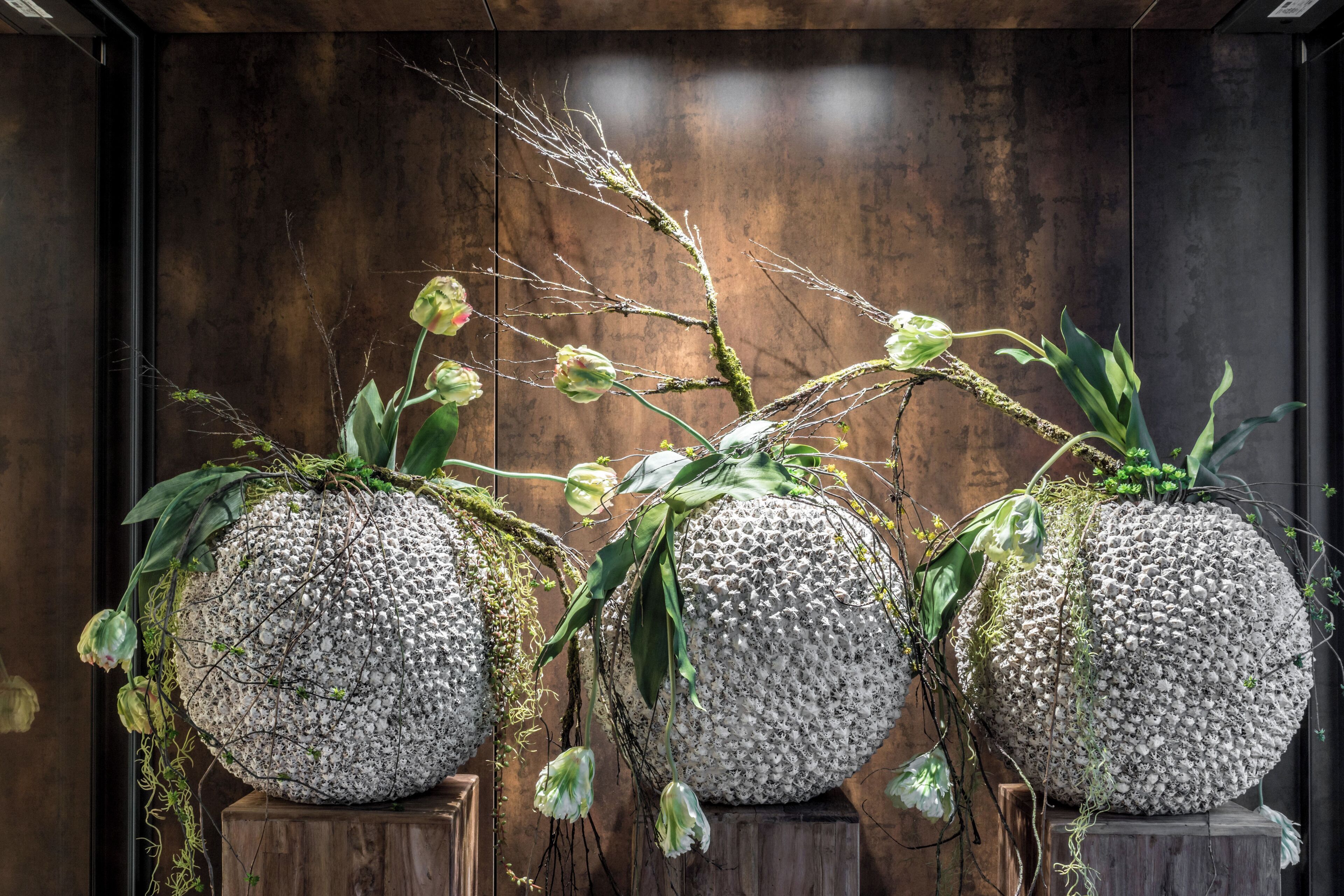 Three spherical planters with plants on a wooden platform against a dark wall.