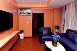 Standard Studio Suite, City View