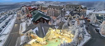 SR30 Updated Shamrock Condo Ski Access Fireplace