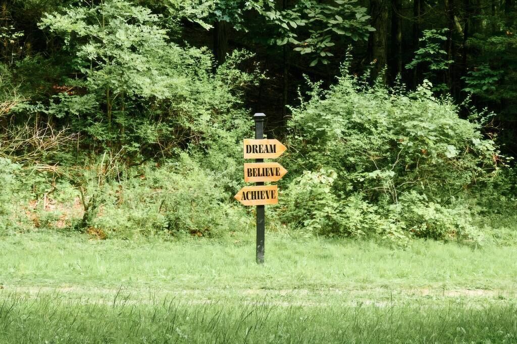 Un panneau indicateur en bois portant les mots « RÊVE », « CROIS » et « RÉALISE » dans une zone boisée.