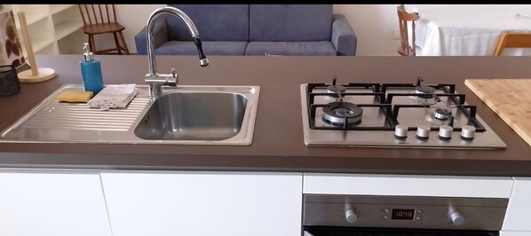 Oven, stovetop, dishwasher