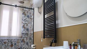Shower, hair dryer, bidet, towels