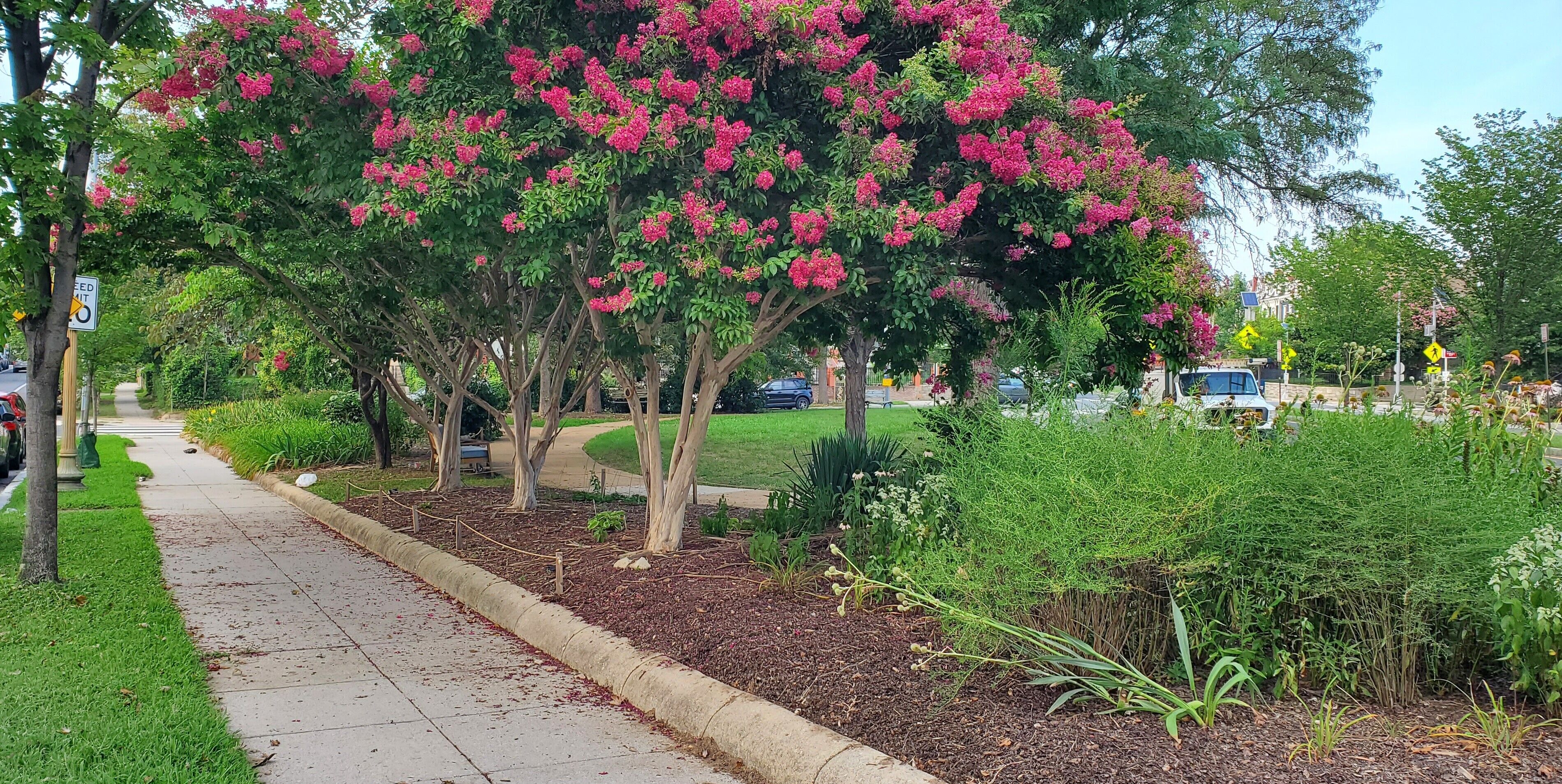 المنطقة المحيطة بالمنشأة