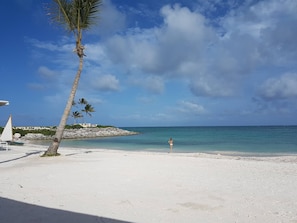 A beach with a palm tree, clear sky, and calm sea. - Private Rooftop Penthouse Marina Resort (Punta Cana)
