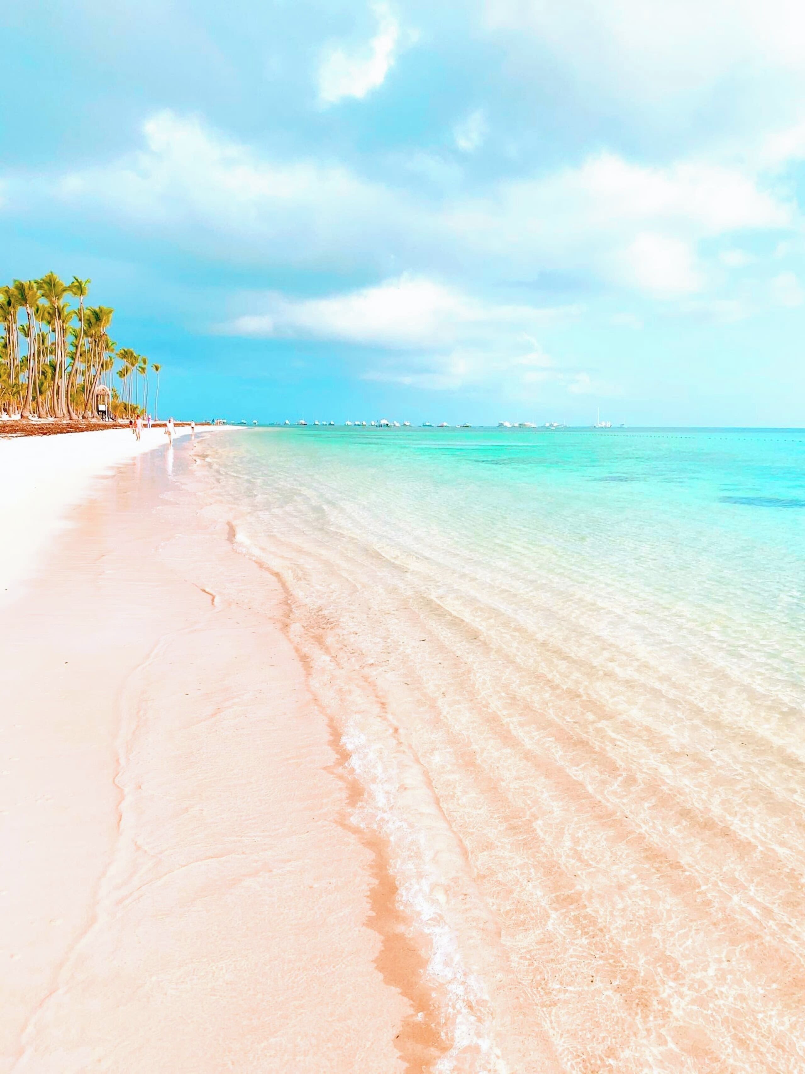 A beach with clear turquoise water, a sandy shore, and palm trees.