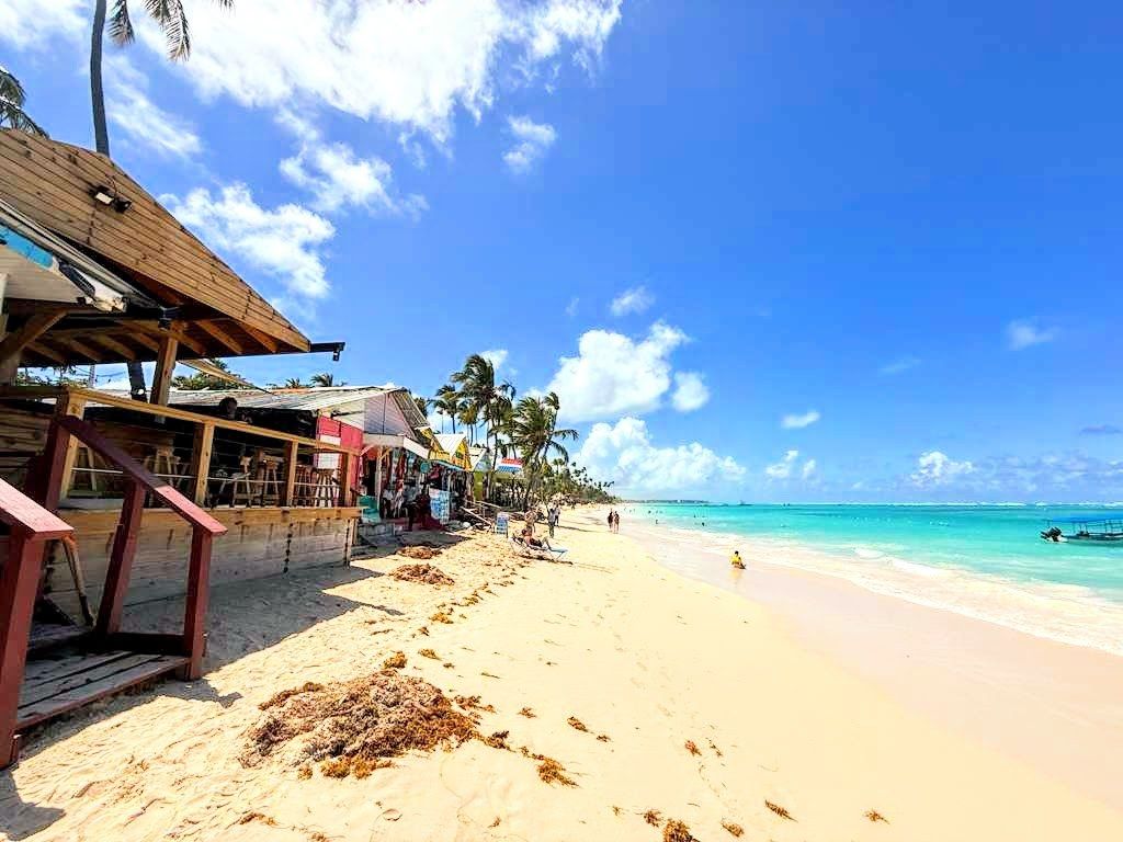 Una playa con una estructura de madera, palmeras y agua azul cristalina.