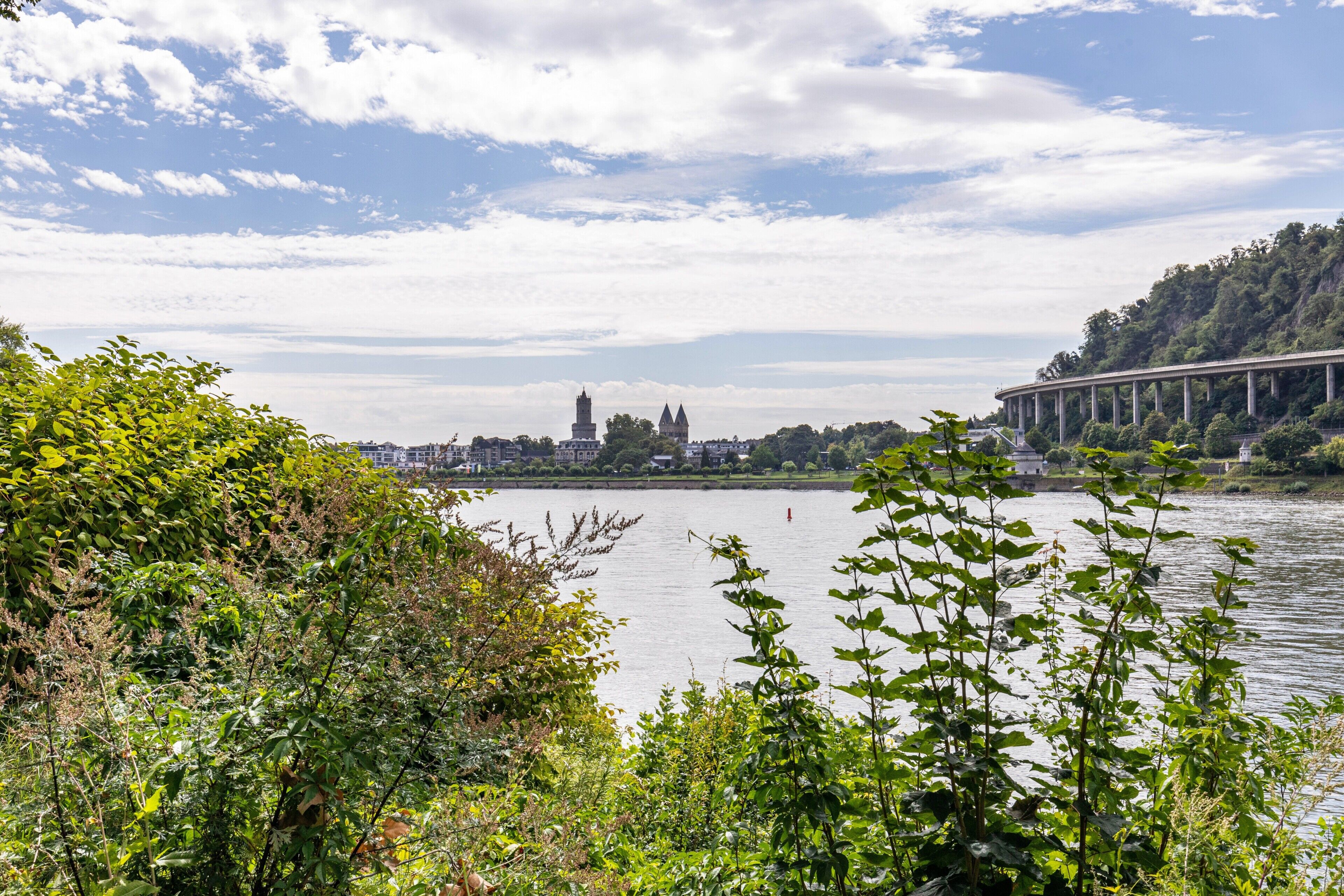A river with a bridge, greenery, and buildings in the background.